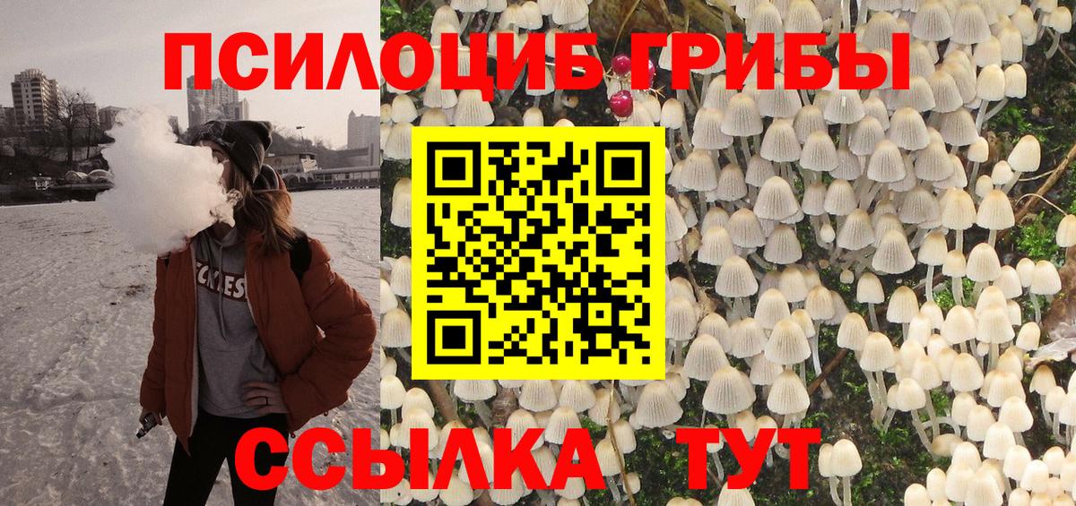 Галлюциногенные грибы мицелий Димитровград