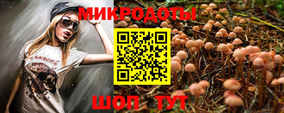 Галлюциногенные грибы Magic Shrooms  Вход с VPN  Димитровград  Галлюциногенные грибы MAGIC MUSHROOMS 
